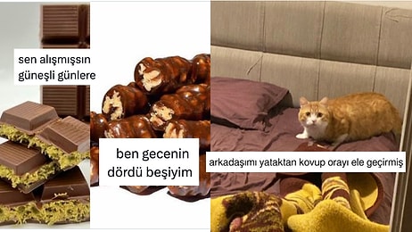 Unutulan Cevizli Sucuktan Kedilerin Saykoluklarına Son 24 Saatin Viral Tweetleri