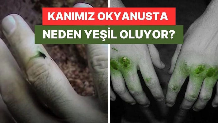 Kanımız Okyanusun Derinliklerinde Neden Yeşil Görünür?