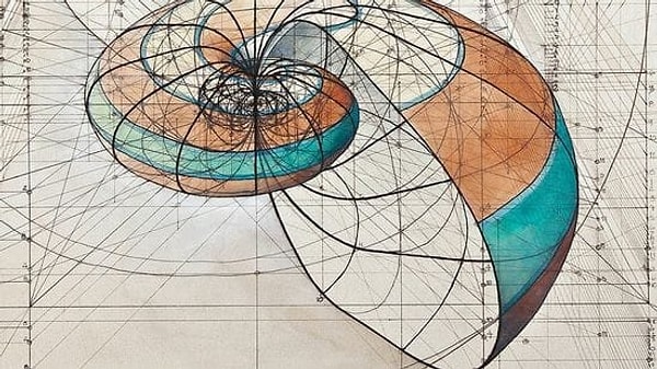 Symbol of Beauty or Handsomeness: What is the Golden Ratio?