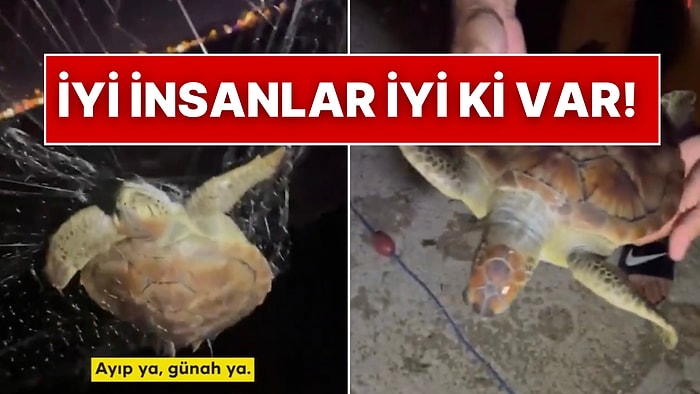 Balıkçı Ağına Takılıp Ölmek Üzere Olan Caretta Carettayı Kurtaran Koca Yürekli Vatandaşlar