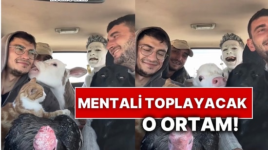 Buzağıdan Hindiye Ne Ararsanız Burada! Bir Arkadaş Grubunun Ortamı Sosyal Medyada Viral Oldu