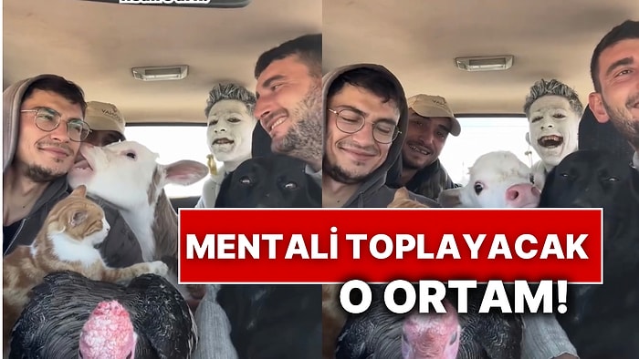 Buzağıdan Hindiye Ne Ararsanız Burada! Bir Arkadaş Grubunun Ortamı Sosyal Medyada Viral Oldu