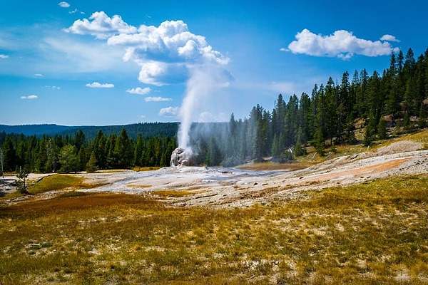 Yellowstone'daki suların yüzeydeki sıcaklığı ortalama 92 derece. Bu aynı zamanda, suyun kaynama noktası. Suyun derinliklerinde ise sıcaklığın git gide arttığı belirtiliyor.