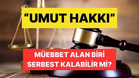 Umut Hakkı Nedir? Devlet Bahçeli'nin Abdullah Öcalan'la İlgili Söylediği Umut Hakkı Ne Demek?