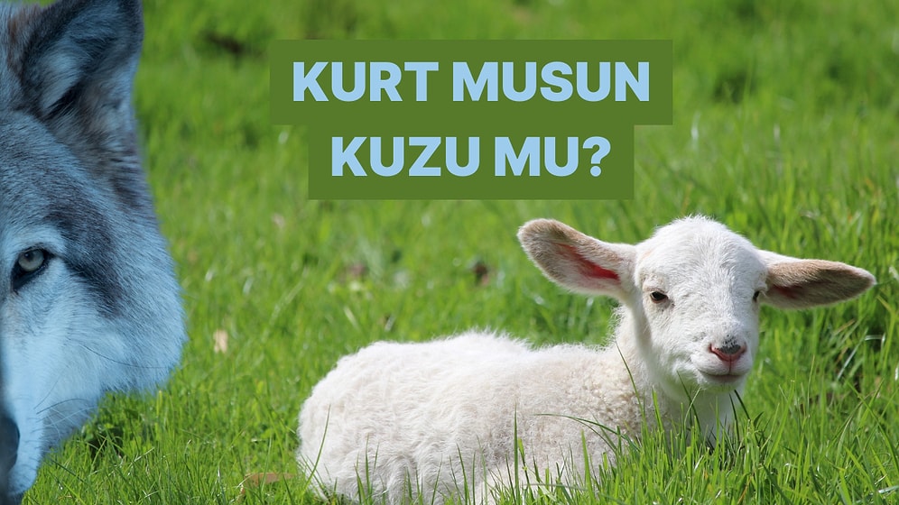 İçindeki Kurt mu Kuzu mu?