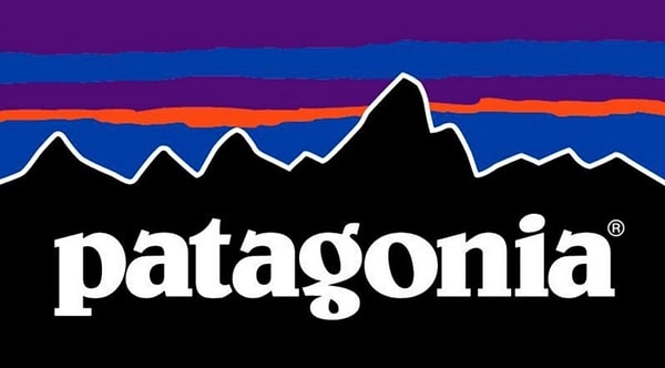 Patagonia veya NextEra Energy