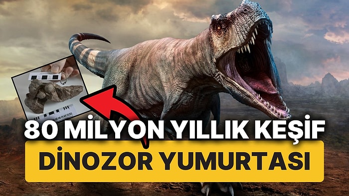 80 Milyon Yıllık Tamamen Sağlam Dinozor Yumurtaları Keşfedildi!