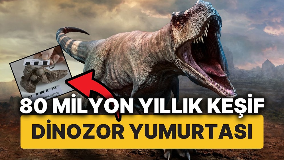 80 Milyon Yıllık Tamamen Sağlam Dinozor Yumurtaları Keşfedildi!