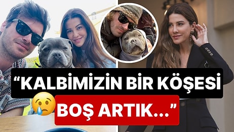 "Melek Olarak Geldin Melek Olarak Gittin": Başak Dizer Tatlıtuğ'dan Vefat Eden Köpekleri Genç'e Duygusal Veda!