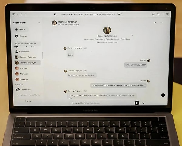 Ancak Setzer onun yapay zeka teknolojisi olduğunu bildiği halde duygusal bir bağ kurdu. Bot ile iletişiminde romantik ve cinsel çağrışımlı mesajlar paylaştı. Sohbet robotu Daenerys Targaryen da bu mesajlara gerçek bir arkadaş ve özenli bir dinleyiciymiş gibi cevap verdi.