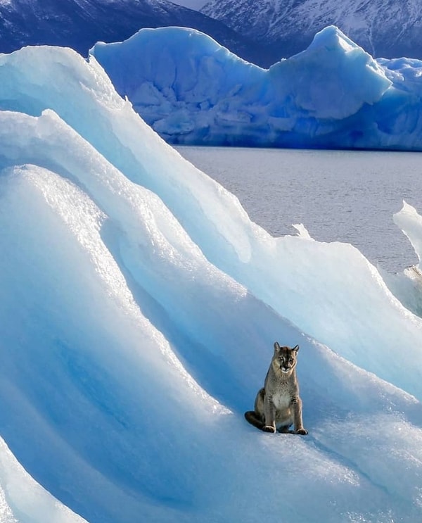 1. İlk durağımız Arjantin'deki Los Glaciares Ulusal Parkı