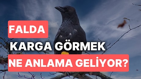 Falda Karga Görmek Ne Demektir? Kötü Günde Dost da Düşman da Belli Olacak!