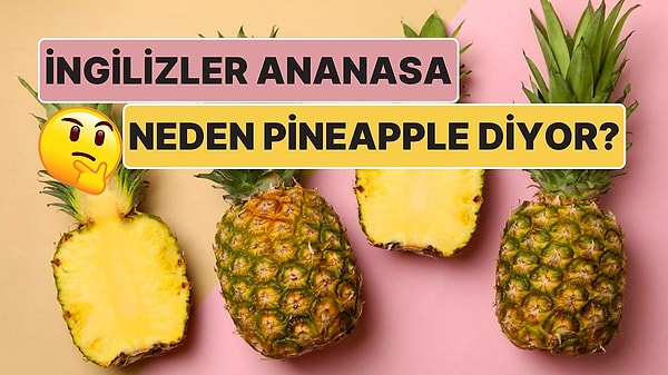 15. Neredeyse Tüm Dünyanın Ananas Dediği Meyveye İngilizler Neden İnatla 'Pineapple' Diyor?