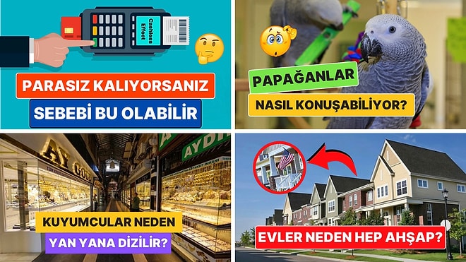 Sohbetlerin Aranan İsmi Olacaksınız: Arkadaş Ortamında Satabileceğiniz 15 Şaşırtıcı Bilgi