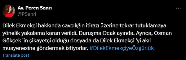 Ekmekçi'nin avukatı Peren Sanrı ise Gökçek'in şikayeti üzerine Ekmekçi'nin 3 hafta süreyle akıl hastanesine yatırılma kararı alındığını açıkladı.