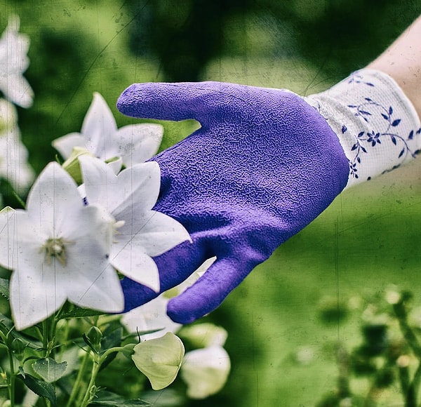 Gebol Flower Lila Bahçe Eldiveni