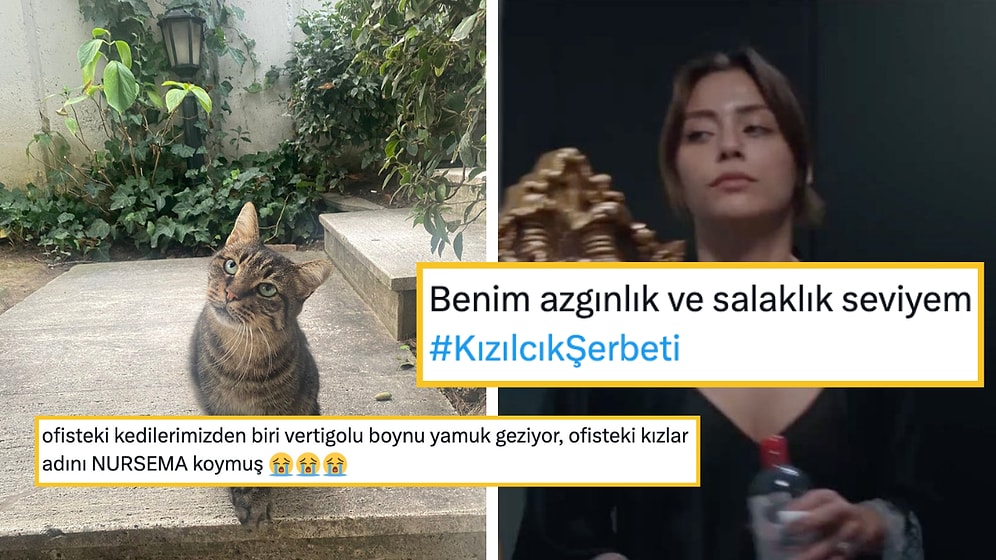 Kızılcık Şerbeti'ni Mizahına Alet Ederek Hepimizi Güldüren Goygoyseverler