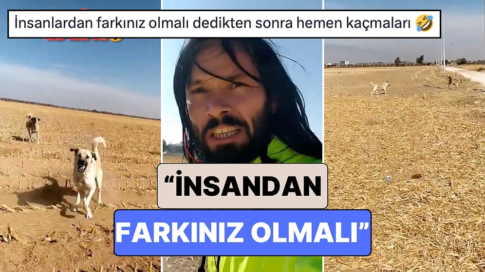 Yerli John Wick Spor Yaptığı Sırada Üzerine Koşan Köpekleri Konuşarak İkna Etti: "İnsandan Farkınız Olsun"