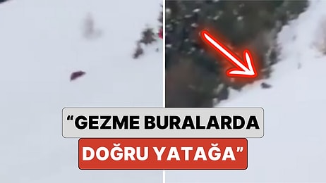 Rize'de Bir Vatandaş Kar Yağmasına Rağmen Kış Uykusuna Yatmayan Ayıya Seslendi: "Çabuk Doğru Yatağa"