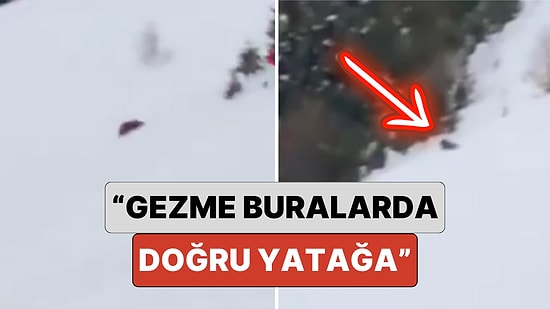 Rize'de Bir Vatandaş Kar Yağmasına Rağmen Kış Uykusuna Yatmayan Ayıya Seslendi: "Çabuk Doğru Yatağa"