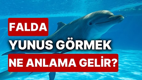 Falda Yunus Balığı Görmek Ne Anlama Gelir? Kısmetinizde Aşk ya da Para Var!