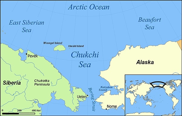 The polar bear population in the Chukchi Sea is a valuable sample for observation.