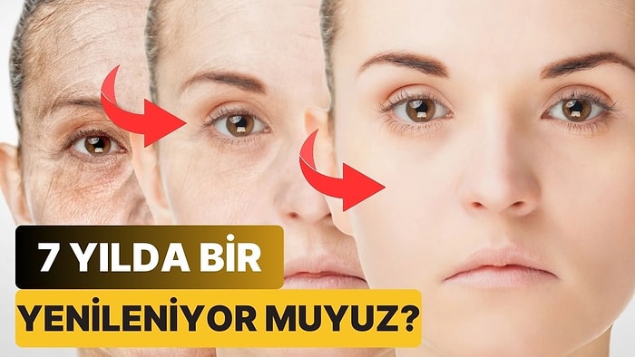 Vücudumuzun Her 7 Yılda Bir Kendini Baştan Aşağı Yenilediği Doğru mu?