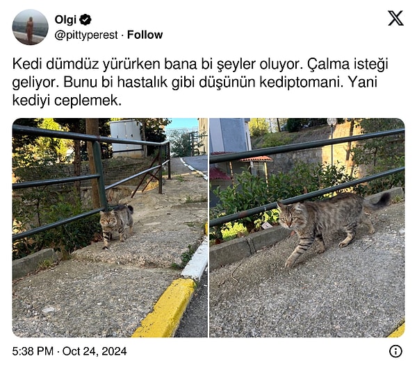 Yeni terim oluşturuldu.