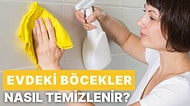 Evde Böcek Varsa Dikkat! Evdeki Böcekler Nasıl Temizlenir?