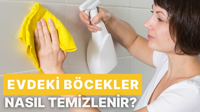 Evde Böcek Varsa Dikkat! Evdeki Böcekler Nasıl Temizlenir?