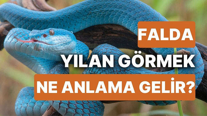 Falda Yılan Görmek Ne Anlama Gelir? Etrafınız Sinsi Tuzaklarla Dolu!