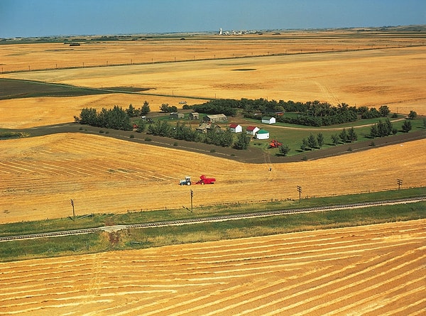 Ülkenin tarım merkezi olarak bilinen Manitoba, Saskatchewan ve Alberta gibi merkezi düzlüklerde ise tarım ve tarımsal üretim yaygın.