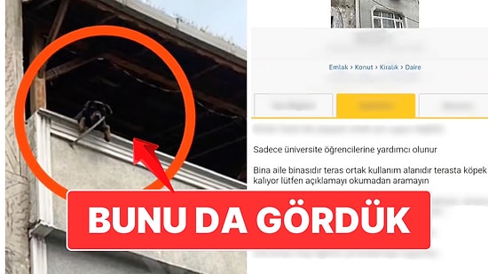 Kiralık Daire İlanındaki İlginç Detay Sosyal Medyada Viral Oldu: Teras Ortak Kullanım ve Yanında Köpek!