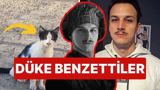 Prens Oyuncusu Bıyıklı Sokak Kedisine Benzetilince Yorumlara Sessiz Kalamadı