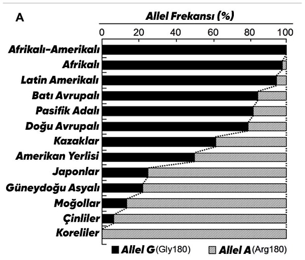 Dünya Genelinde Dağılım