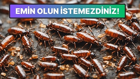 Kulağa Hoş Gelse de Sonuçlar Felaket: Tüm Böcekler Yok Olsaydı Dünya Ne Hale Gelirdi?