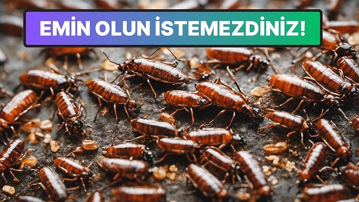 Kulağa Hoş Gelse de Sonuçlar Felaket: Tüm Böcekler Yok Olsaydı Dünya Ne Hale Gelirdi?