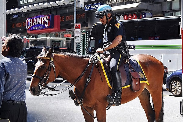 Atlar aynı zamanda insanlarda doğal bir saygı uyandırır. Devasa boyutları, karşısındaki kişiyi hızlıca hareket etmeye zorlar.