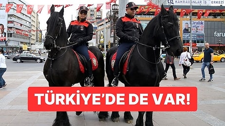 Bizde de Var: Bazı Ülkelerde Polisler Neden Hala At Üstünde Devriye Gezer?