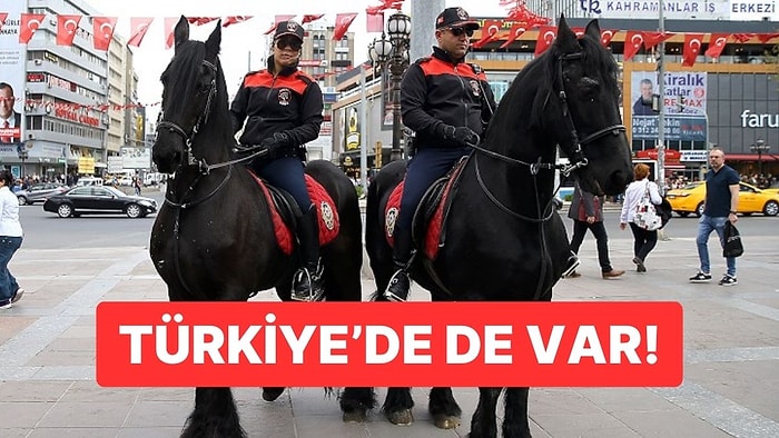 Bizde de Var: Bazı Ülkelerde Polisler Neden Hala At Üstünde Devriye Gezer?