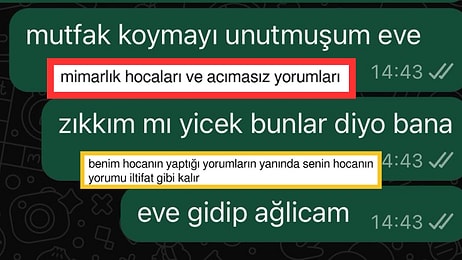 Projesinde Mutfağı Yapmayı Unutunca Hocası Tarafından Zorbalanan Bir Garip Mimarlık Öğrencisi