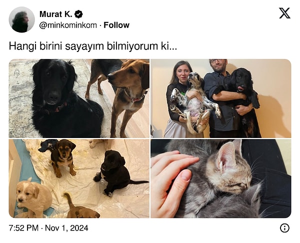 Maşallah!