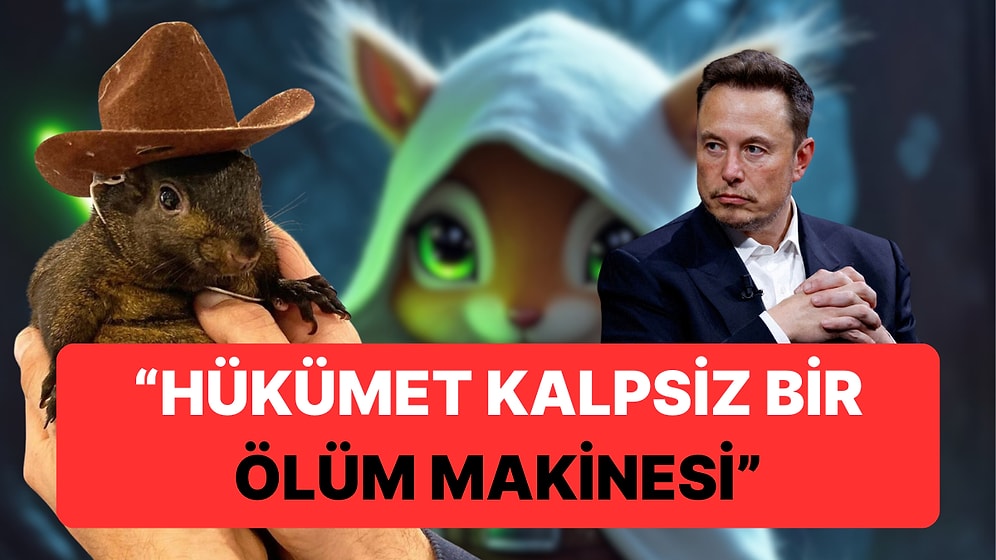 Fenomen Sincap Peanut'a Ötanazi Yapıldı: Elon Musk'tan ABD Hükümeti'ne "Ölüm Makinesi" Tepkisi