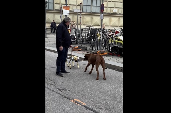 Sahibiyle gezintiye çıkan bir köpek, robotla karşılaşınca paniğe kapıldı.