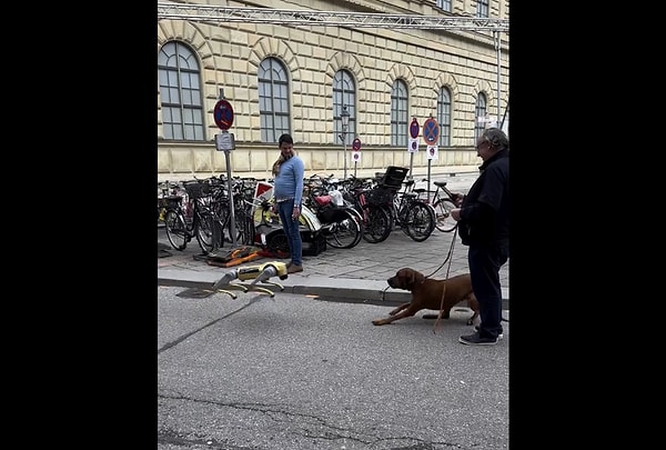 Köpeğin robota verdiği tepki ve yaptığı tedirgin hareketler izleyenleri gülümsetti.