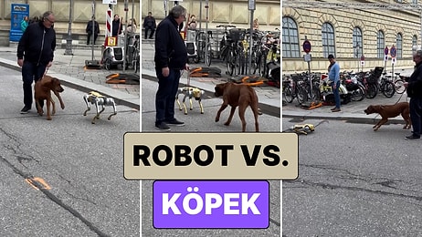 Robotlar ve Köpeklerin Savaşı Başladı: Yolda Bir Robotla Karşılaşan Köpeğin Verdiği Tepki Güldürdü