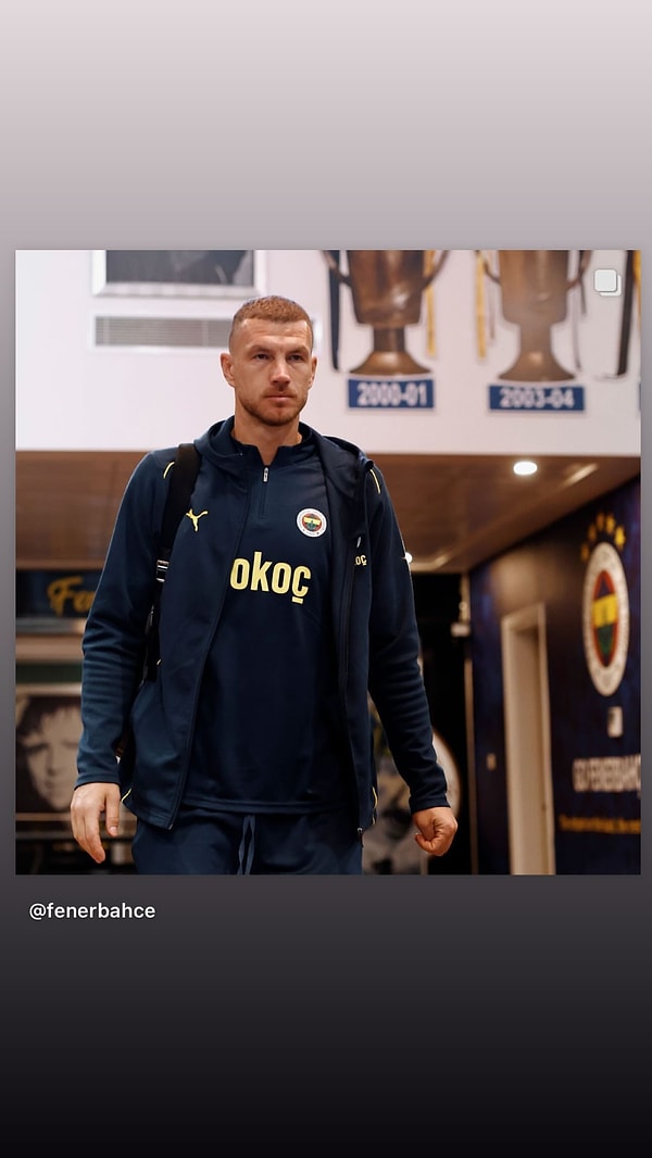 Edin Dzeko👇