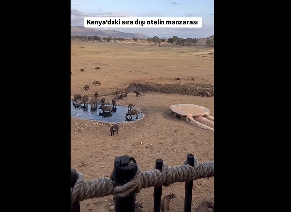 Tam anlamıyla bir 'doğa' manzarasına sahip olan otel kimilerine büyüleyici gelirken kimileri gereksiz buldu.