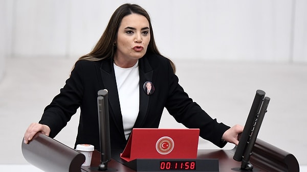 Ayyüce Türkeş, "Alparslan Türkeş’in resimlerini MHP Genel Merkezi'nden indirsinler, kemiklerini daha fazla sızlatmasınlar" dedi.