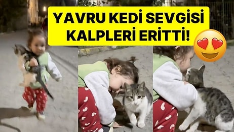 Sokakta Gördüğü Yavru Kediye Sarılan Küçük Çocuk Kalpleri Eritti